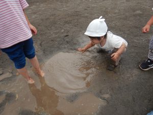 育つなかま６月号を発行しました。